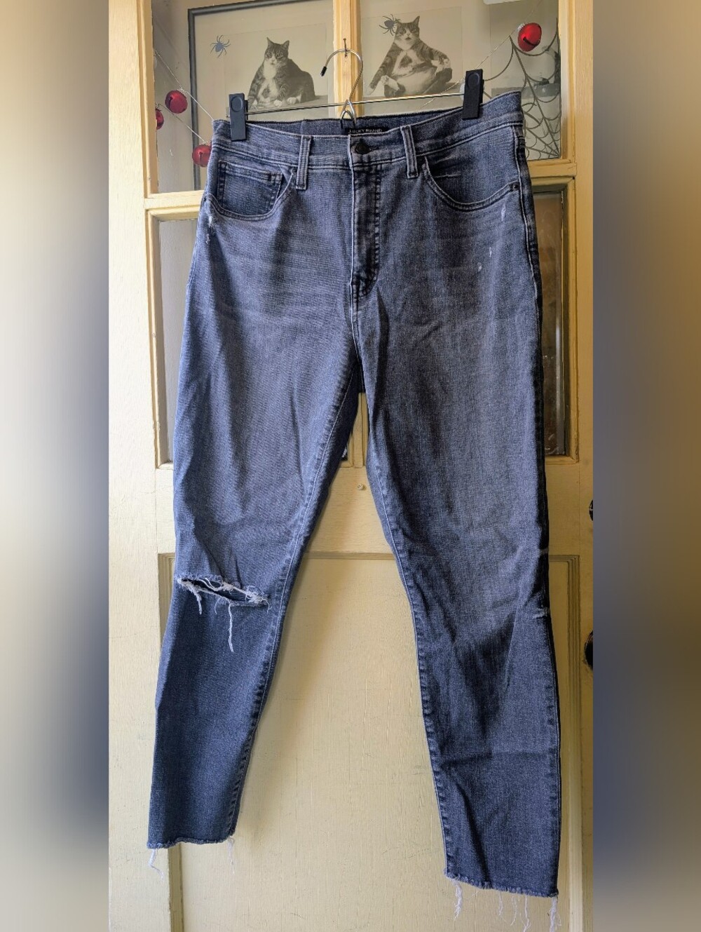 Lucky Brand High Rise Bridgette Distressed Skinny Jeans Women’s Size 12/31